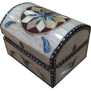 Hand Made Mother Of Pearl Mini Box